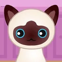 Guess The Kitty - Gitlab Games