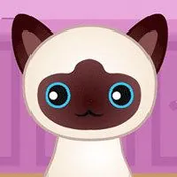 Guess The Kitty - Gitlab Games